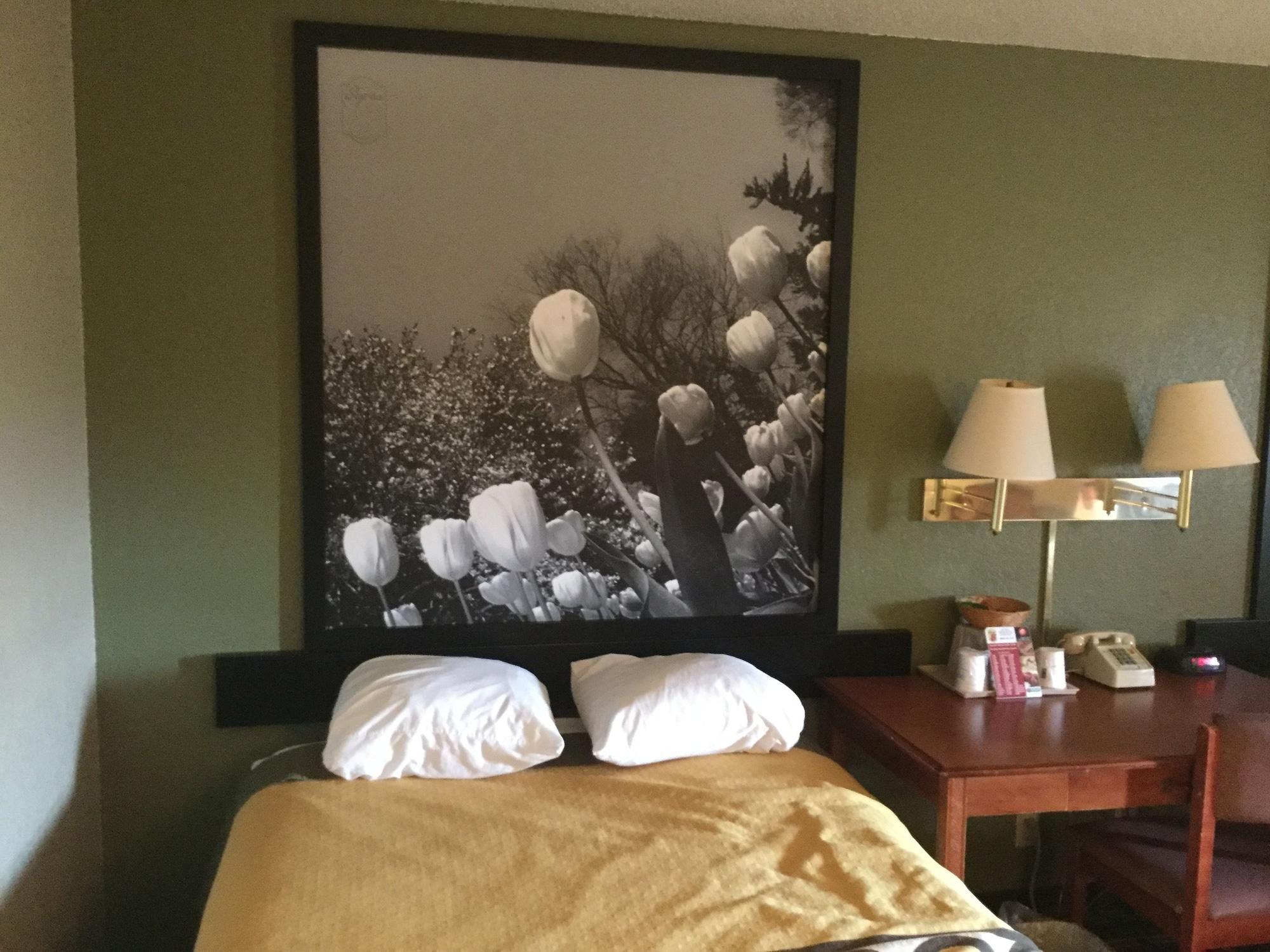 Super 8 By Wyndham Youngstown/Austintown Exterior foto